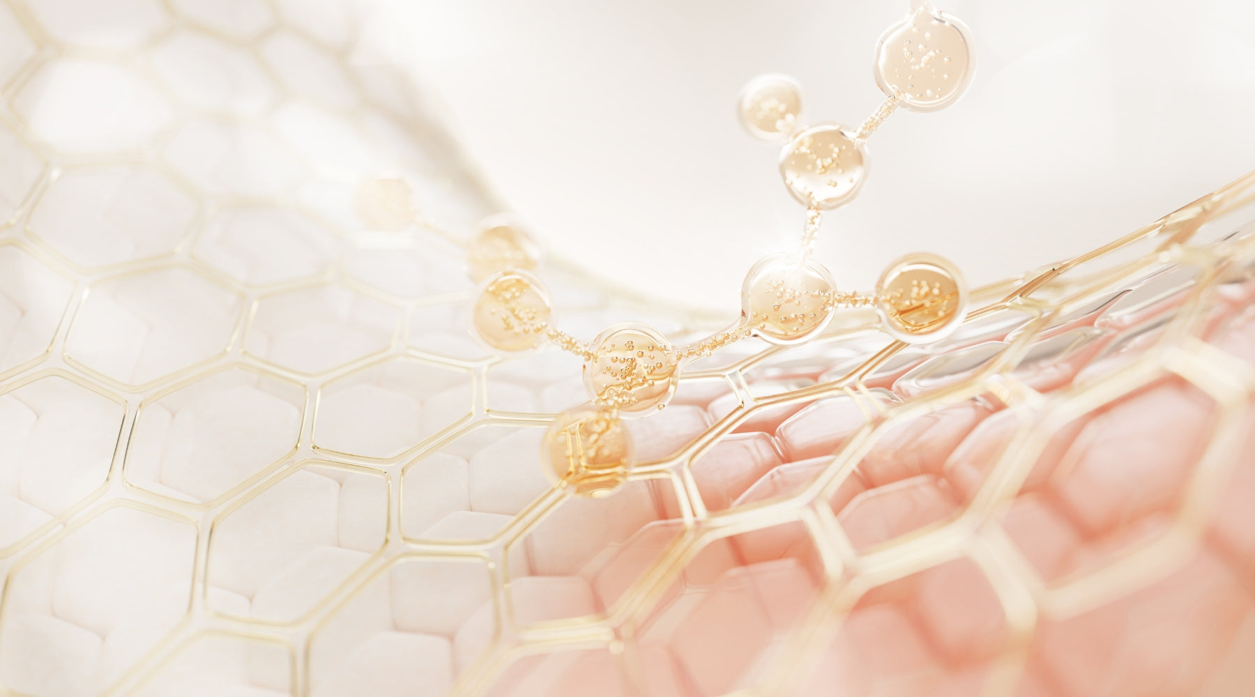 Kollagenpeptide erklärt