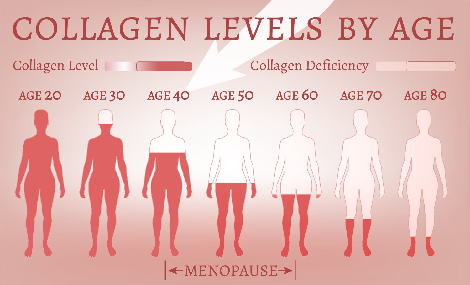 True Story Forschung Kollagen Alter Verlust