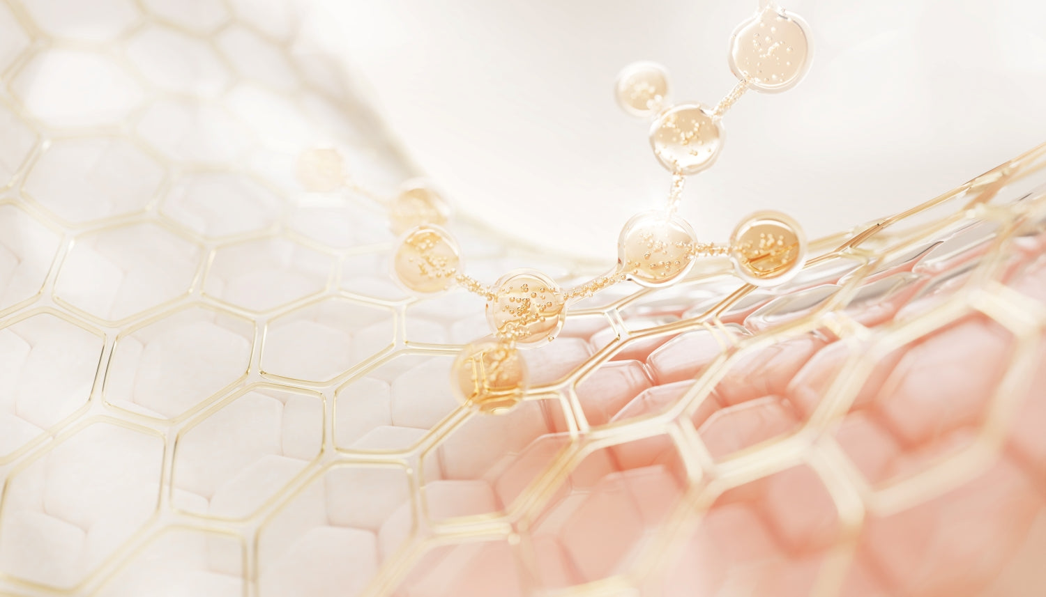 True Story Kollagenprodukte Clean Label Kosmetik und Nahrungsergänzung